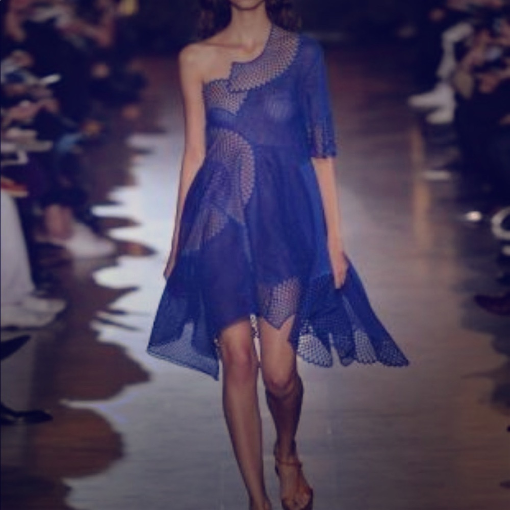 Stella McCartney asymmetric mesh. It out dress.